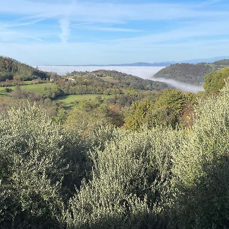 Agriturismo Ai Gradoni Teolo Esterno foto