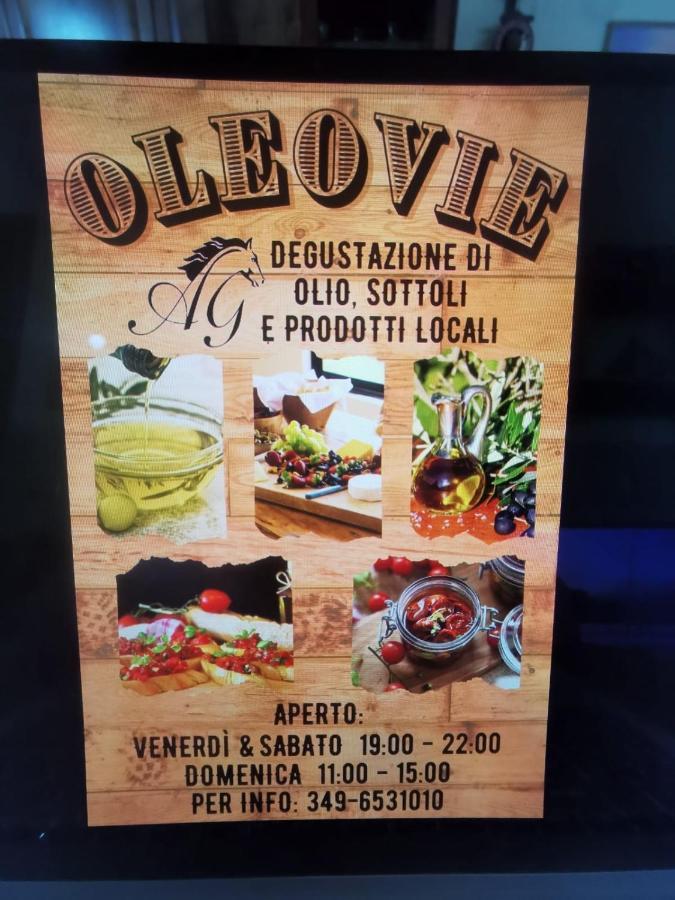 Agriturismo Ai Gradoni Teolo Esterno foto